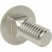 BSC PREFERRED 18-8 Stainless Steel Square-Neck Carriage Bolt 1/4-20 Thread Size 5/8 Long, 50PK 92356A538